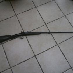 carabine 12mm type warnant