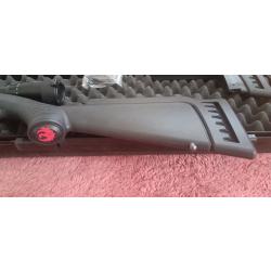 Carabine 22LR ruger RIMFIRE