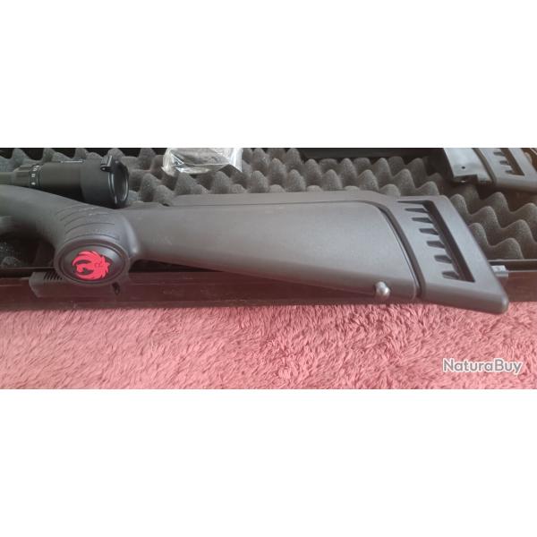 Carabine 22LR ruger RIMFIRE