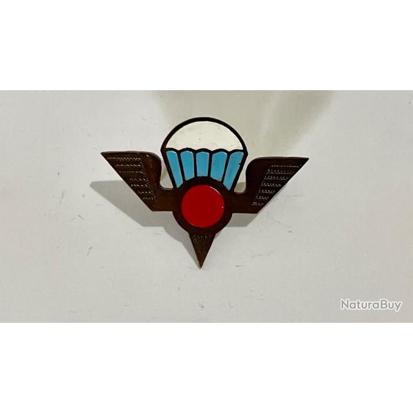 Insigne militaire Mozambique