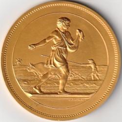 Medaille Bronze Comice Agricole et Viticole Par J. Lagrange 1966
