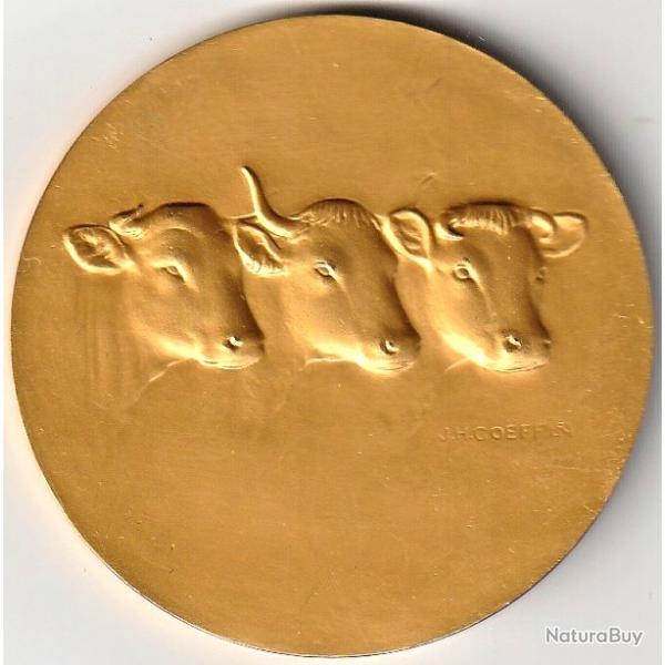 Medaille Bronze Comice Agricole De Chartres Eure Et Loir Par J.H.Coeffin ann�es 60 Vaches