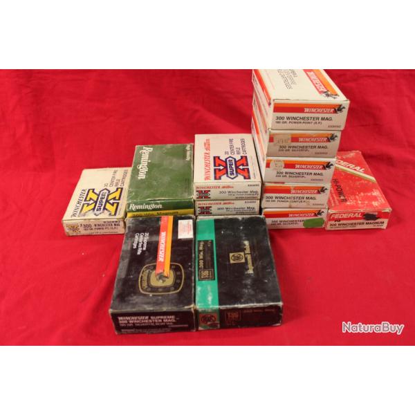 Lot de 260 douilles 300 Win Mag.