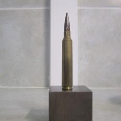 cartouche 300 remington ultra mag