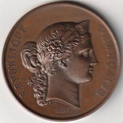M&eacute;daille Cuivre Minist&egrave;re De L'Agriculture Et Du Commerce 1877 Par Barr&eacute; Chartres Eure Et loir 28