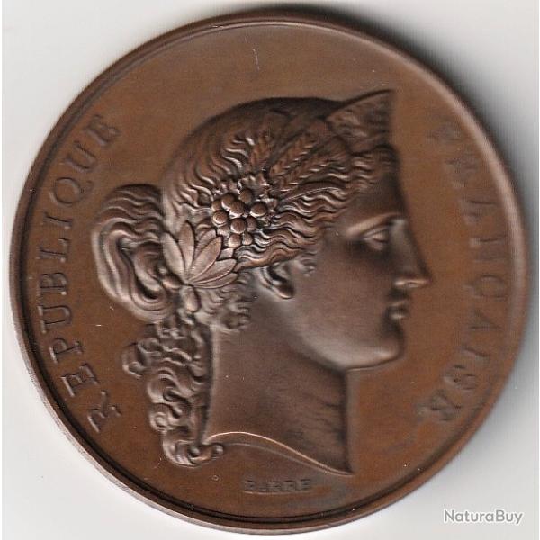 M�daille Cuivre Minist�re De L'Agriculture Et Du Commerce 1877 Par Barr� Chartres Eure Et loir 28