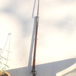 FUSIL MODELE 1822 TBIS