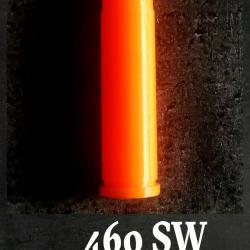 Lot de 5 ou 6 Cartouches de Manipulation 460 SW