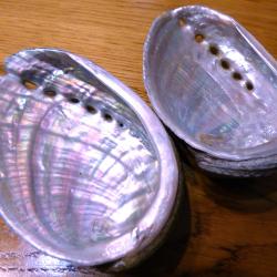 (( LOT N&deg;2 )) DE 2 BELLES OREILLES DE ST- PIERRE  = (( ORMEAU )) POUR COLLECTION OBJETS DIVERS- etc