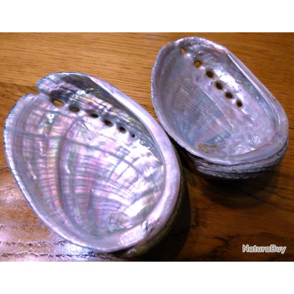 (( LOT N�2 )) DE 2 BELLES OREILLES DE ST- PIERRE  = (( ORMEAU )) POUR COLLECTION OBJETS DIVERS- etc