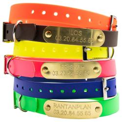 Colliers &agrave; graver sur plaque BETA petit chien et chiot 6 couleurs Jaune fluo