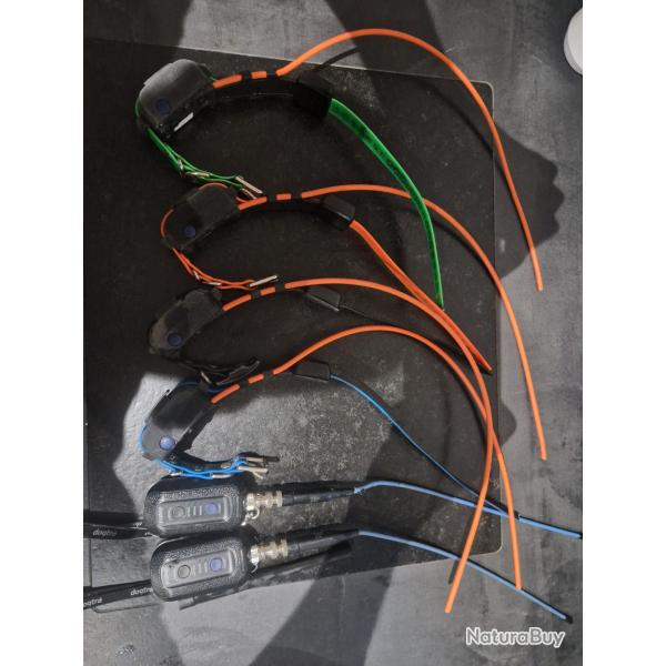 Lot Dogrta pathfinder 1