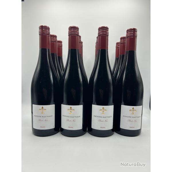 2024 Petit Sauvage Pinot Noir Vin de France - 1� - Sans Prix R�serve - 12 Bouteilles