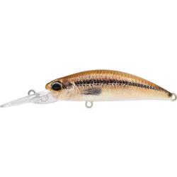 SPEARHEAD RYUKI 50 MDSP - ACCZ069 VAIRON (UF)