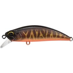 SPEARHEAD RYUKI 50 S - ACCZ570 BROWN TIGER OB UV (UF)