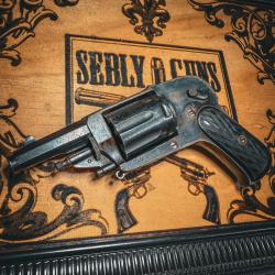 EXCELLENT VELODOG RENFORC&Eacute; 8 COUPS !