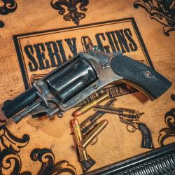 SUPERBE VELODOG JASP&Eacute; A CHIEN EXTERNE ! MECANIQUE IRR&Eacute;PROCHABLE