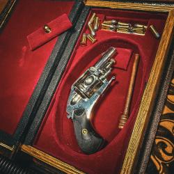 MAGNIFIQUE MICRO PUPPY 5.5mm EN COFFRET FAUX LIVRE !