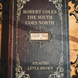 MAGNIFIQUE MICRO PUPPY 5mm EN COFFRET FAUX LIVRE !