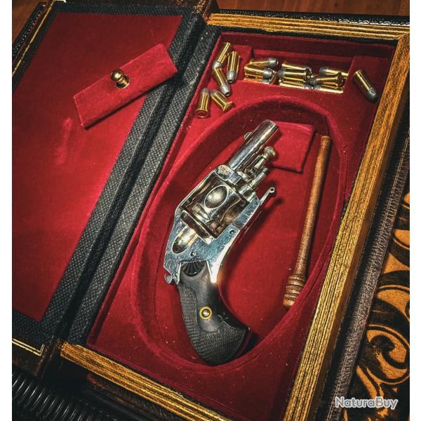 MAGNIFIQUE MICRO PUPPY 5.5mm EN COFFRET FAUX LIVRE !