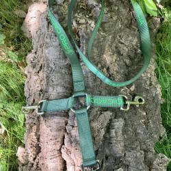 PROMO ! Laisse triple PRO CACCIA en nylon vert