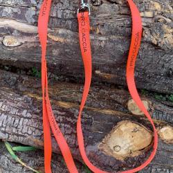 PROMO ! Laisse fine PRO CACCIA en nylon orange