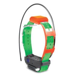 Collier suppl&eacute;mentaire Dogtra Pathfinder 2 TRX - Vert