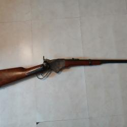 Carabine Spencer 1860 44-40
