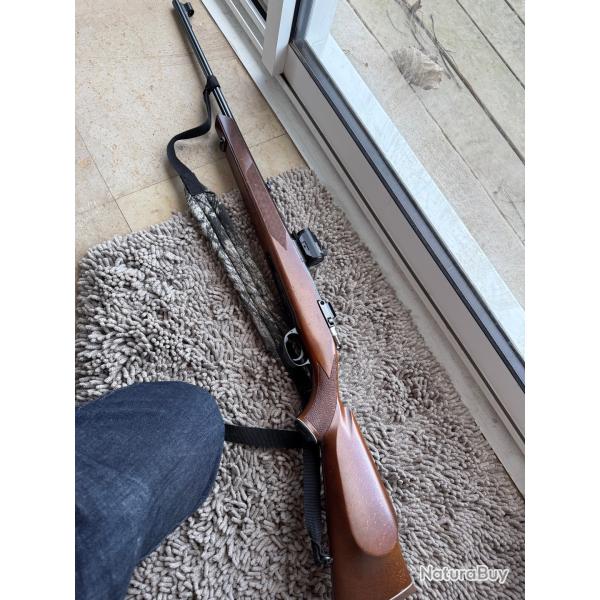 Carabine PARKER HALE 7x64 avec Point Rouge