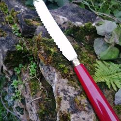 Grand couteau chasse bushcraft