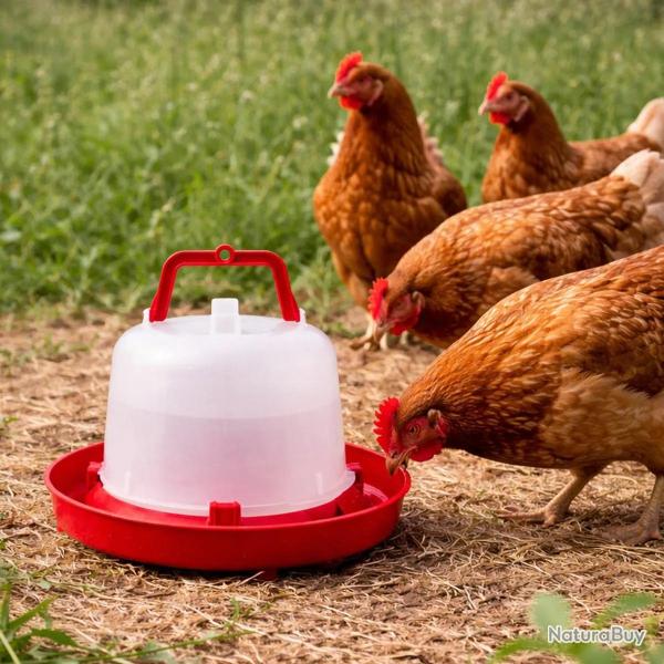 Abreuvoir plastique poule premium robuste avec poign�e 5 L
