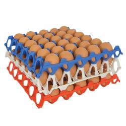Plateau oeufs plastique empilable 30X30 CM alimentaire lot de 10