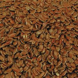 Graines de lin VADIGRAN d&eacute;poussi&eacute;r&eacute;es 4kg