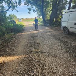 Action petit gibier dans le gard. Chasse priv&eacute;e.