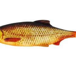 Leurre Souple Westin Ricky The Roach 18cm Real Rudd