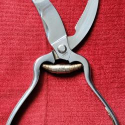 CISEAUX S&Eacute;CATEUR (MATERIEL PROFESSIONNEL) D&Eacute;COUPE VOLAILLES NOGENT CHROME