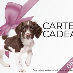 Carte cadeau