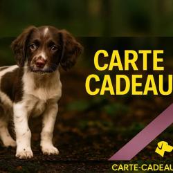 Carte cadeau
