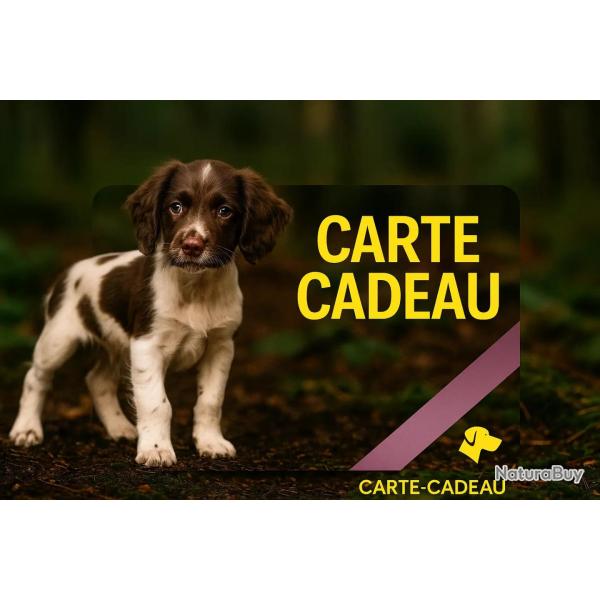 Carte cadeau