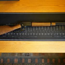 Chiappa la322 takedown, carabine &agrave; levier en 22lr