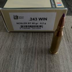 Sologne Ballistic tip 95 grain 243 win