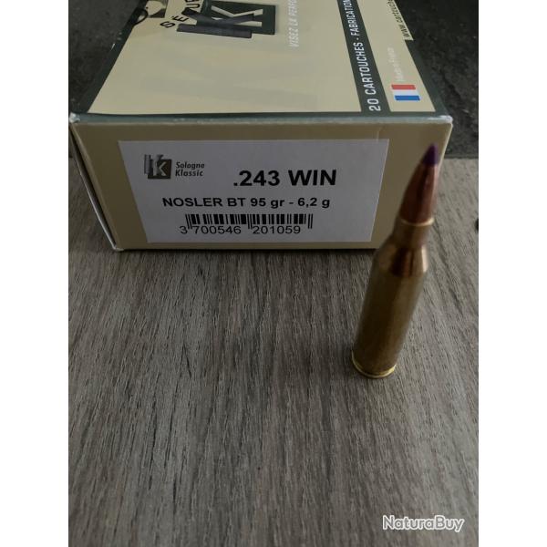 Sologne Ballistic tip 95 grain 243 win