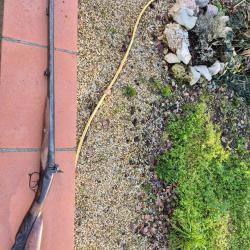 Fusil collection poudre noire