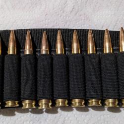 Cartouchi&egrave;re de crosse