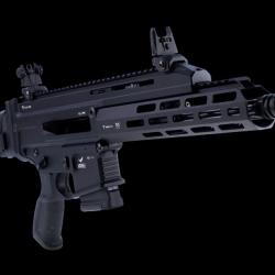 Legacy Armement Perun X16 8 pouces calibre 300 AAC Black out