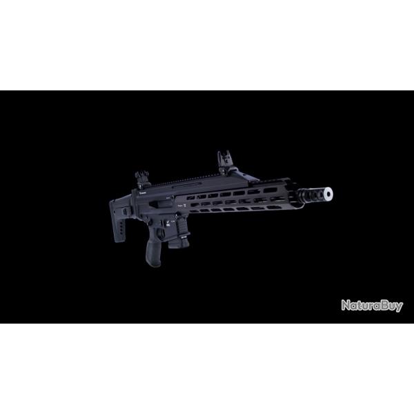 Legacy Armement Perun X16 14,5 pouces calibre 223