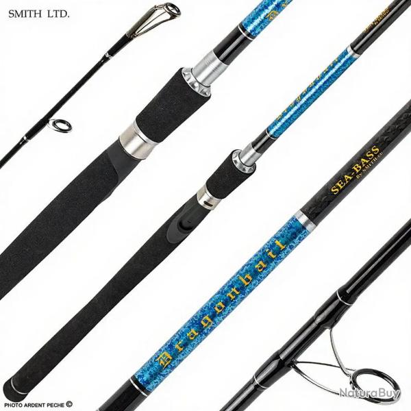 Canne SMITH Dragonbait Seabass 110