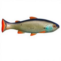 Leurre souple ILLEX Vividus Roach
