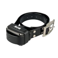 Collier Dogtrace suppl&eacute;mentaire