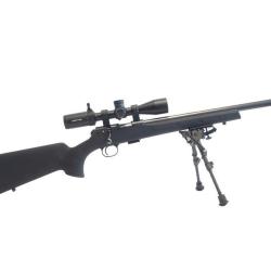 PACK CARABINE CZ VARMINT SYNTHETIQUE Cal.22 LR